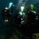 Seawing Nova Gorilla - obrazek 5