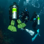 Seawing Nova Gorilla - obrazek 3