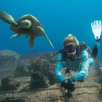 MK25 EVO/D420 - obrazek 7