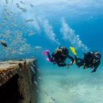 GALILEO 2 (G2) - obrazek 5