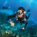 LUNA 2.0 AIR INT. - obrazek 8