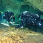 S-TEK NON-DIRECTIONAL-MARKER:  (COOKIE MONSTER) - obrazek 4