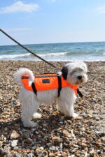 TOTLAND DOG BUOYANCY AID - obrazek 3