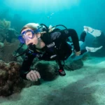 MK11/C370/R095 Okto - obrazek 9