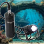 Niechaj się stanie: dwoista, korpuskularno – falowa światłość!