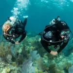 MK17 EVO /S600/R105 Okto - obrazek 2