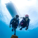 STEAMERS - obrazek 4