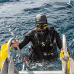 Szkła optyczne do ZOOM - obrazek 3