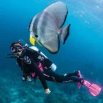 Szkła optyczne Bi Focus do ZOOM - obrazek 5